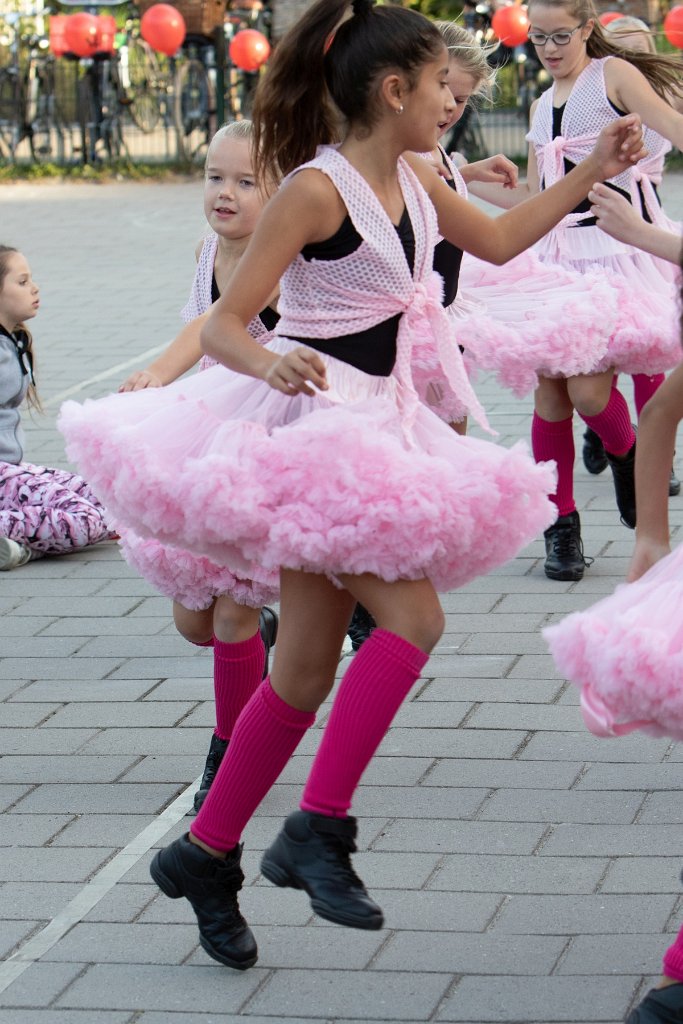 Schoolplein Festival A337.jpg